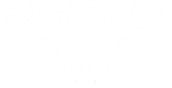 DSS
